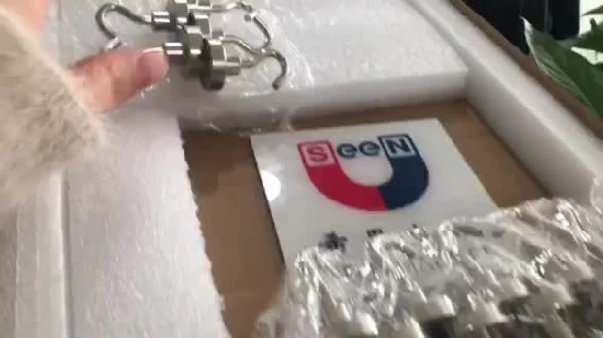 Gancio magnetico in acciaio al neodimio E20mm per luoghi di lavoro con forte magnetismo